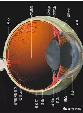 1492078459808665.jpg 2.jpg